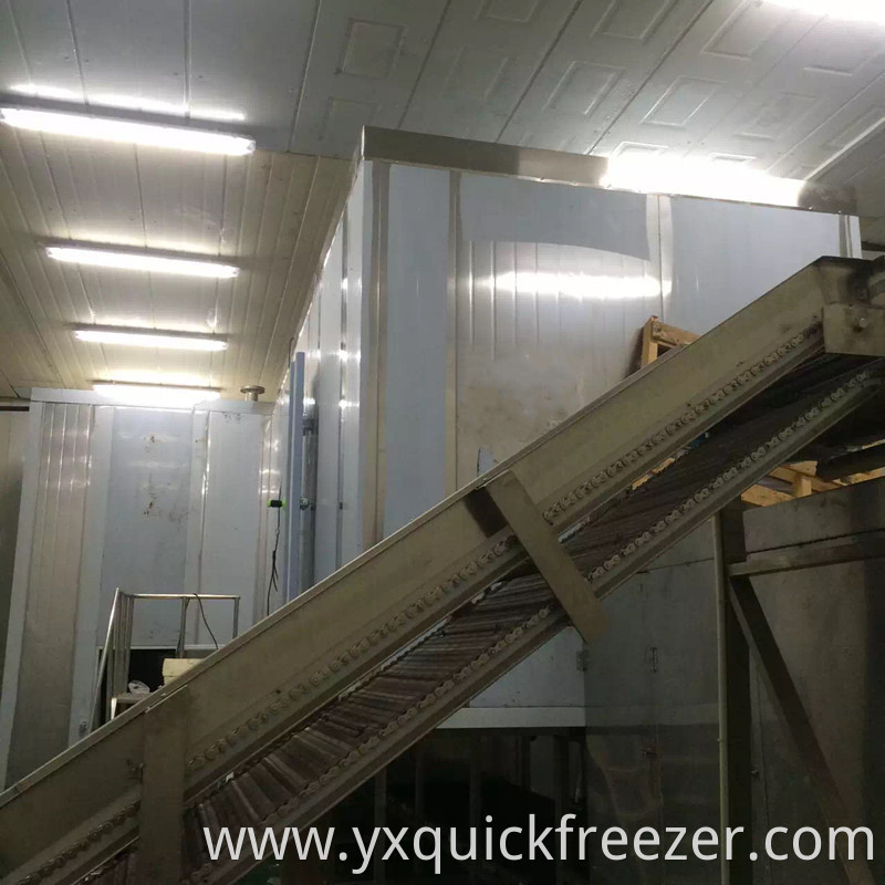 Fluidized Tunnel Bed Freezer